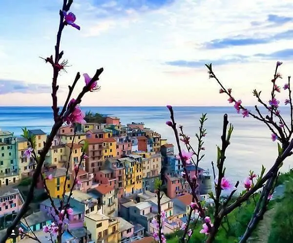Sunset House Apartment Riomaggiore 0*,  Italy